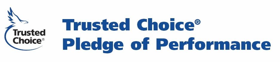 Trust-Choice-Pledge-Performance